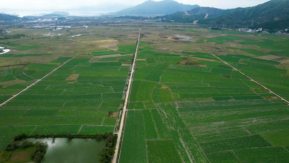 俯瞰沃野 航拍视角下的现代农产品种植基地探秘