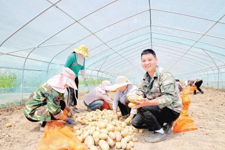康县景盛种植农民专业合作社大力发展特色农产品种植，助力乡村振兴
