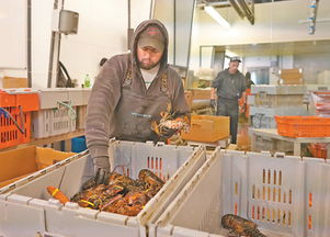 美国农产品种植业的现状与挑战 听听业界的声音