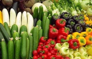 黑龙江绿色有机农产品种植超8000万亩，筑牢国家粮仓与生态屏障